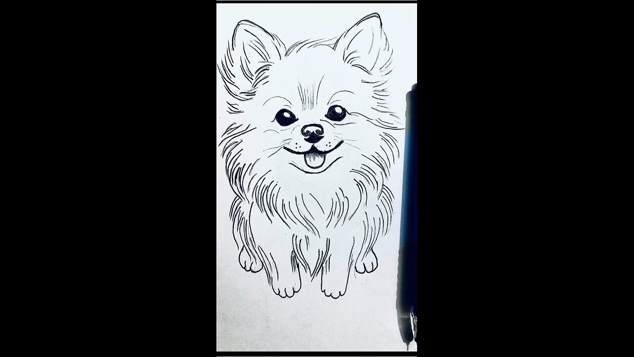 How to draw puppy 🐶