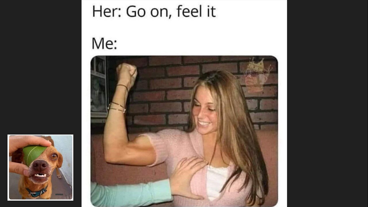 Memes That Will 99.832% Make You Laugh. (e57)