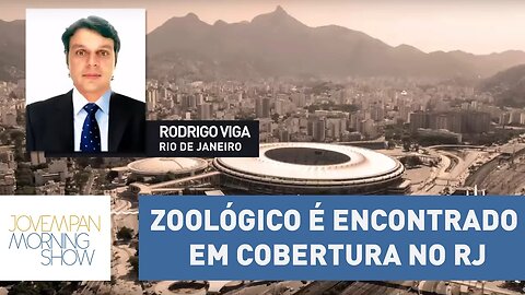 Zoológico é encontrado em cobertura no Rio de Janeiro