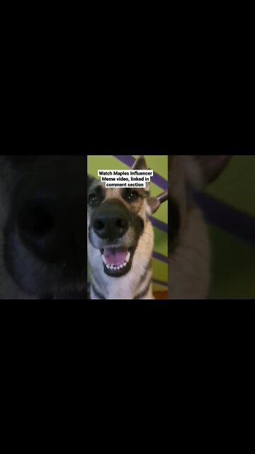 behind the scenes #shorts