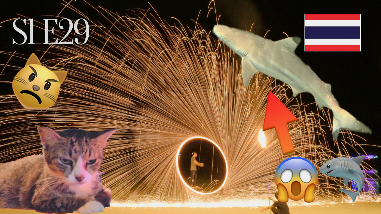 S1E29: Kitty heaven and non dangerous sharks?!