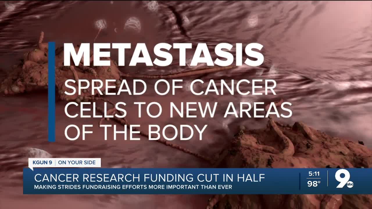 Funding for breast cancer research drastically reduced due to coronavirus