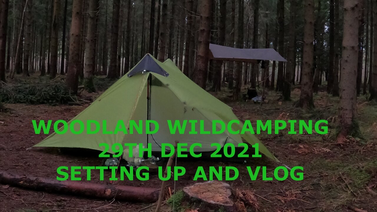 Woodland wildcamping. Setting up the tent, tarp and vlog