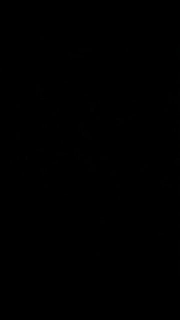 The formal Democratic nominee