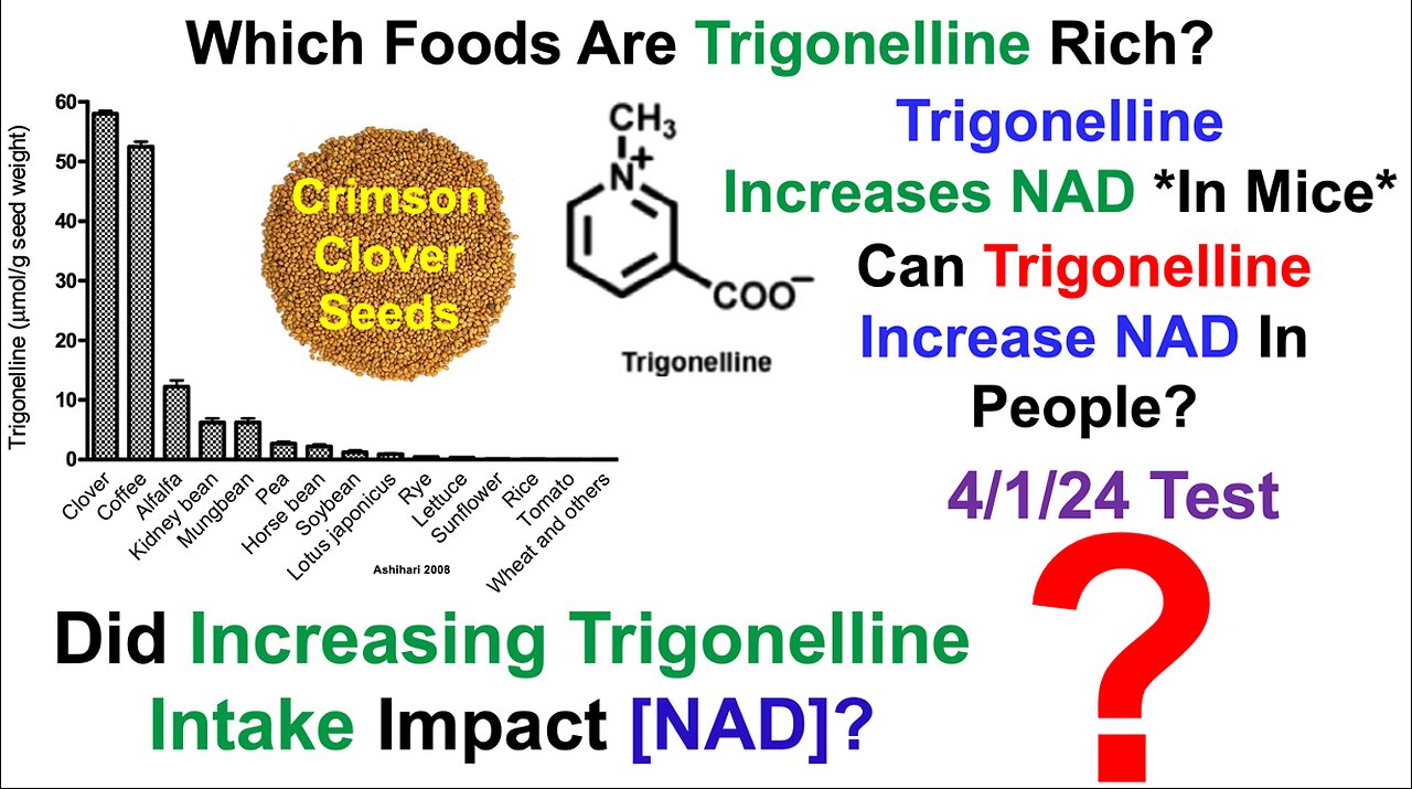 Increased NAD With Clover Sprouts