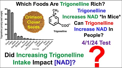 Increased NAD With Clover Sprouts