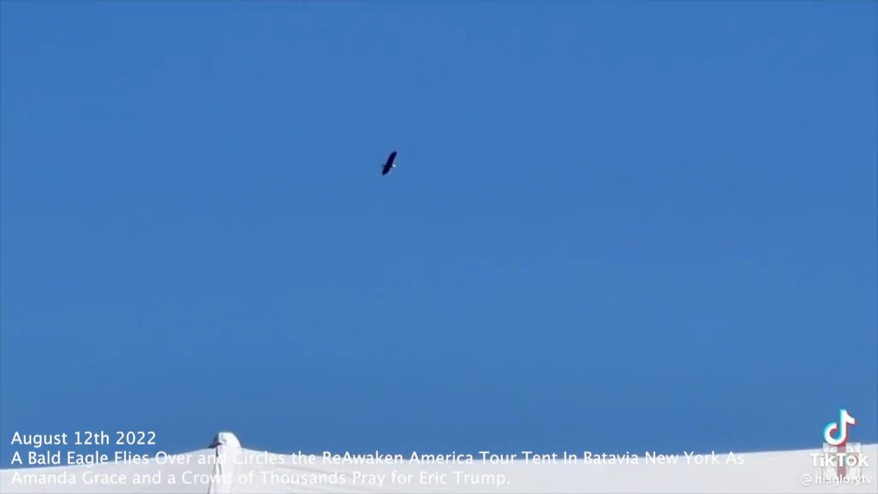 Eric Trump A Bald Eagle Flies Over and Circles the ReAwaken America Tour Tent