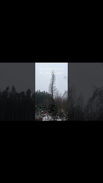 Captain Dick Winters' CP in Bastogne at the Bois Jacques