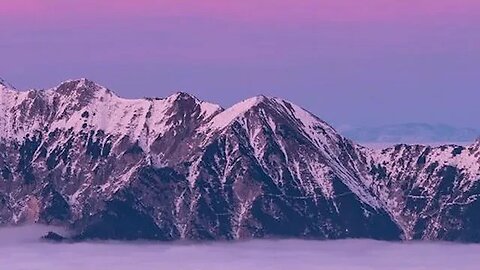 Golden Hour Bliss Basking in Nature's Radiance