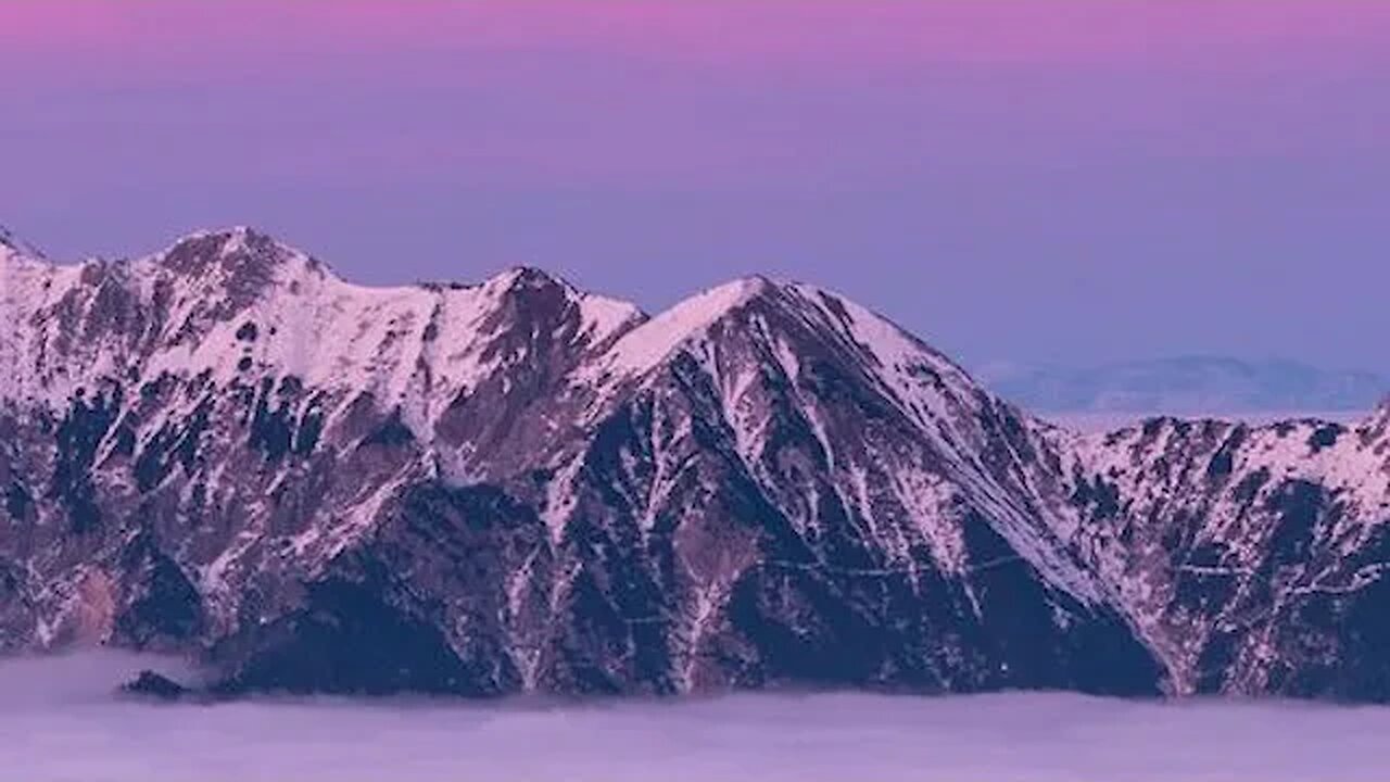 Golden Hour Bliss Basking in Nature's Radiance