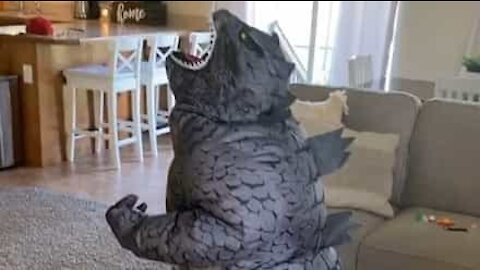 Ce petit garçon imite Godzilla dans son salon