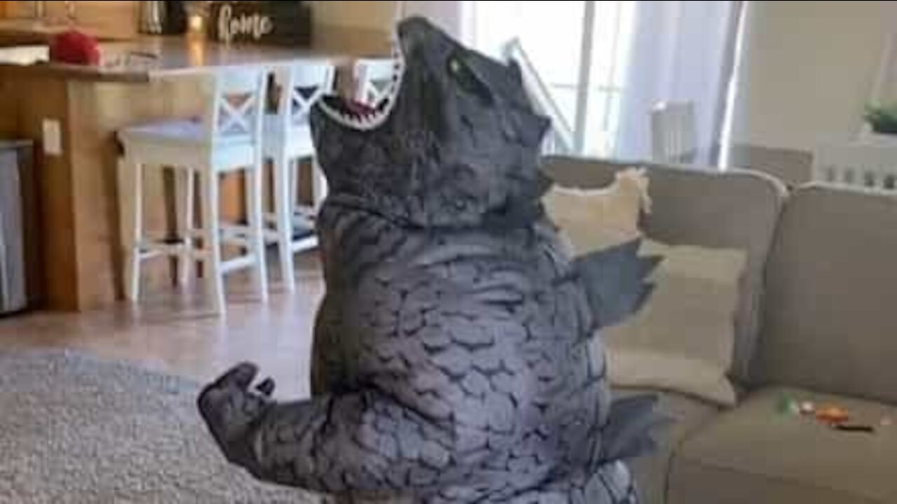 Ce petit garçon imite Godzilla dans son salon