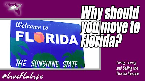 Why Should You Move to Florida?