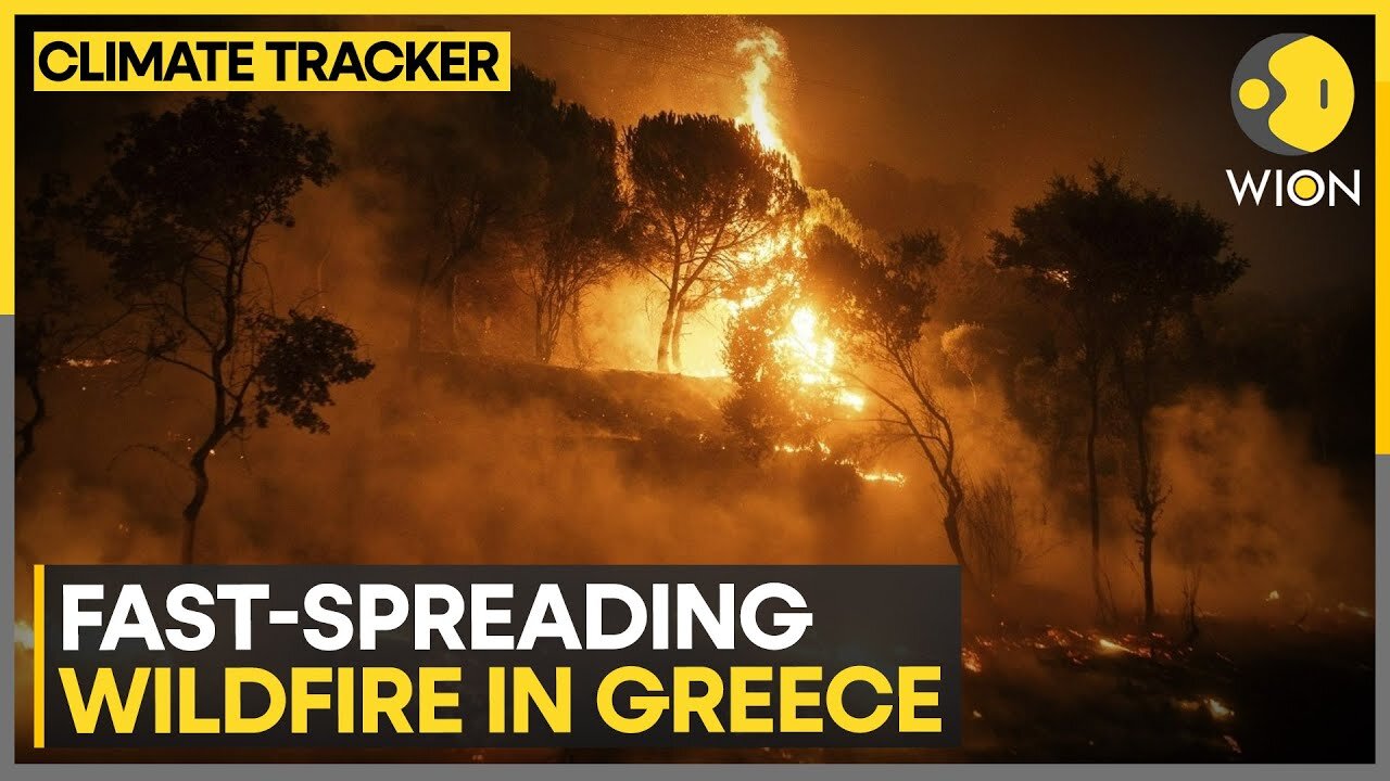 Firefighters battle fast-spreading wildfire near Athens | WION Climate Tracker