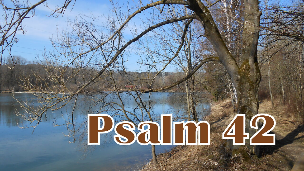 Psalm 42 (Luther 1964)