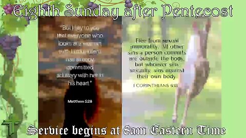 8th Sunday after Pentecost