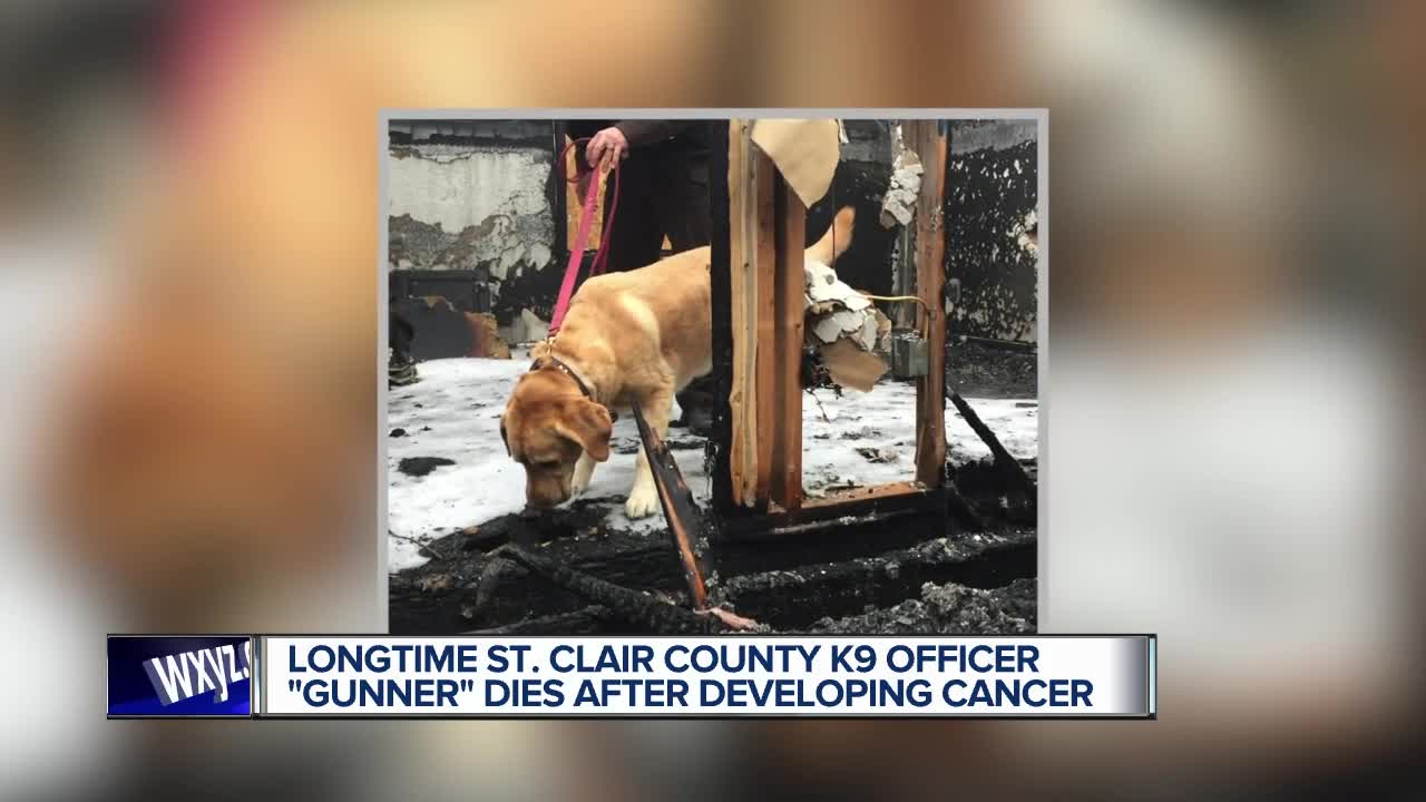 St. Clair County Sheriff's Office K-9 dies of cancer after 8 years on force