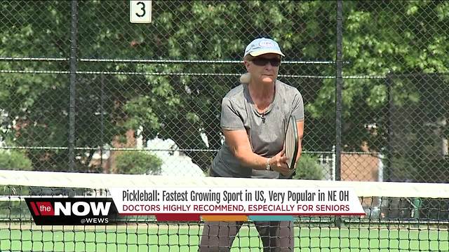 Pickleball: The fastest growing sport in America takes Northeast Ohio by storm