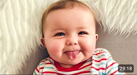 Funny Baby Videos The Cutest Chubby Baby Compilation