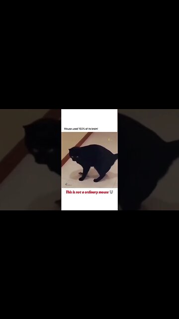 The most dangerous place is the safest place ! 😂 #shorts #short #subscribe