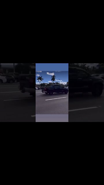 Only in Florida! 😂😂😂 don’t try this elsewhere! #shorts #short #viral #subscribe #shortvideo #lol