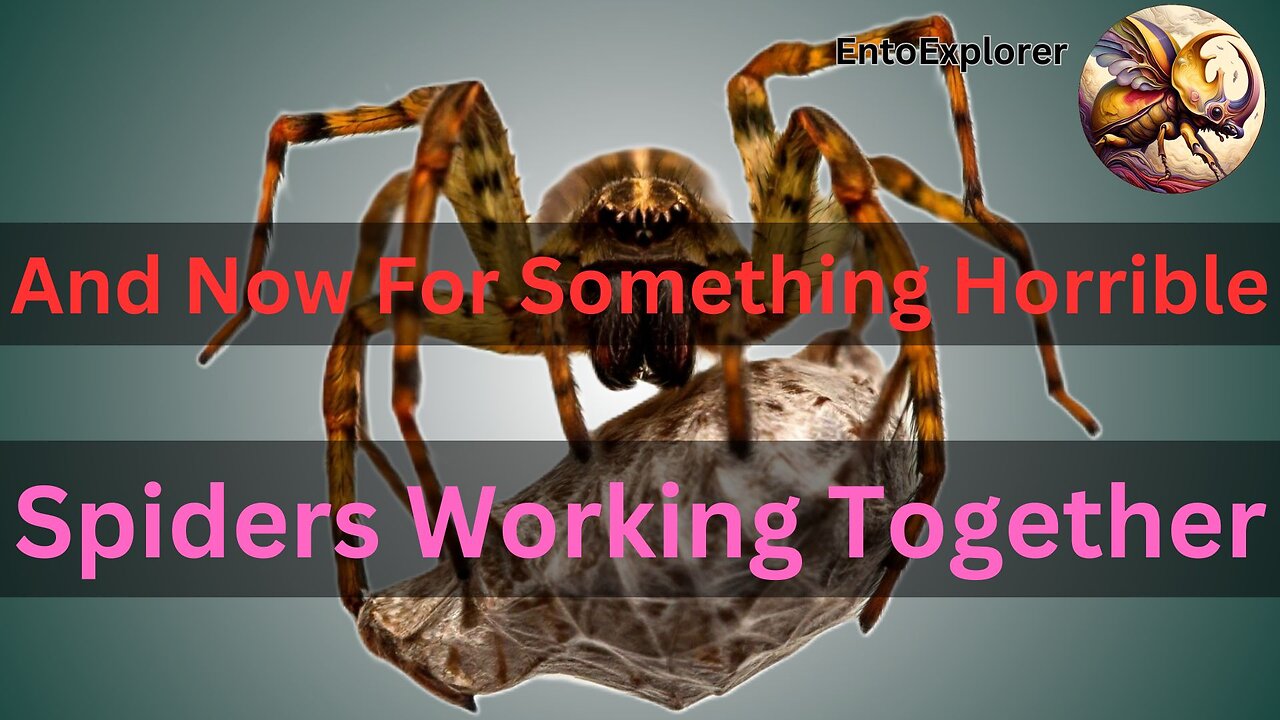 And Now For Something Horrible - Strangle Spiders