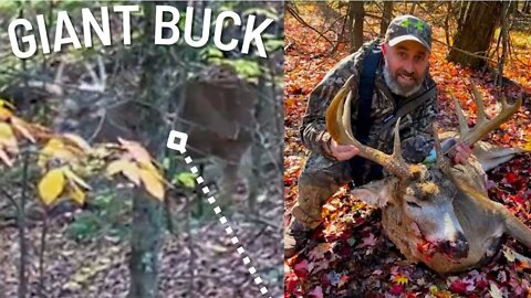 INSANE PA Archery Hunt!