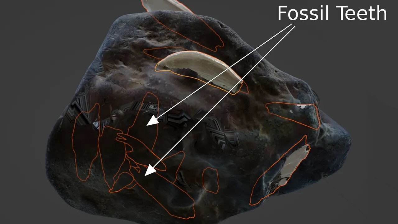 Neutron scan of fossil rock reveals hidden teeth [x-ray on steroids]