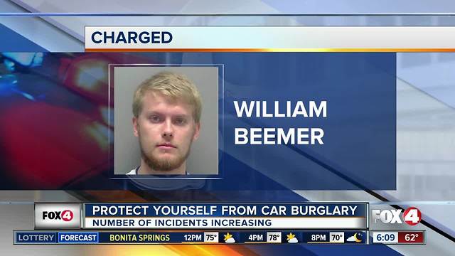 Florida College student facing a slew of charges connected to car burglary spree