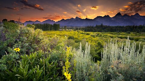 5.28.21 | Nesara Gesara