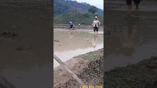 rice plow machine