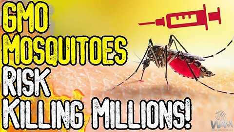 GMO MOSQUITOES RISK KILLING MILLIONS! - Both U.S. & UK Face New Deadly Diseases!