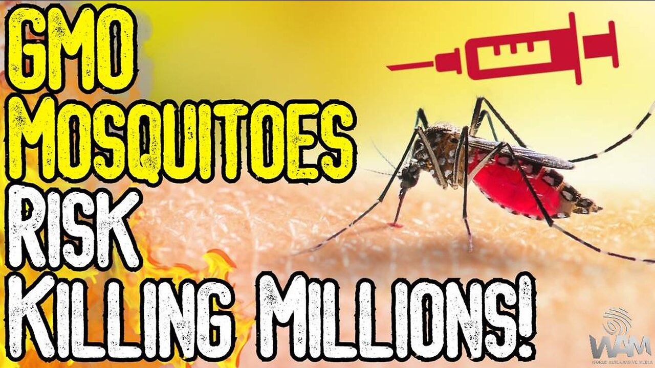 GMO MOSQUITOES RISK KILLING MILLIONS! - Both U.S. & UK Face New Deadly Diseases!