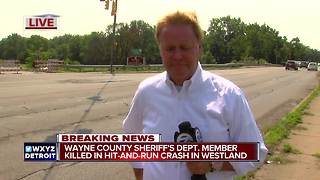 Wayne County Sheriff's deputy hit and killed while jogging