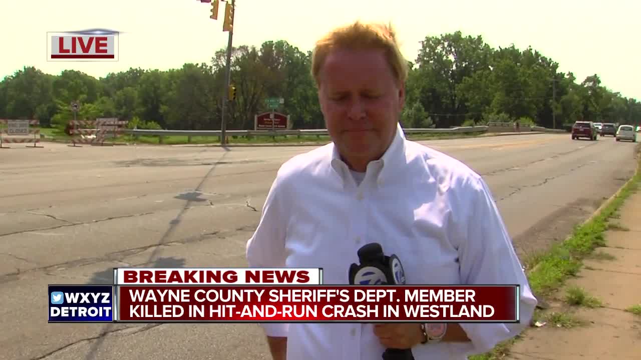 Wayne County Sheriff's deputy hit and killed while jogging