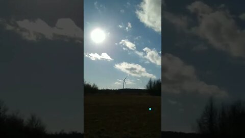 Sunny & crisp