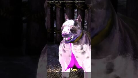 What is wrong with the dog? #dragonage