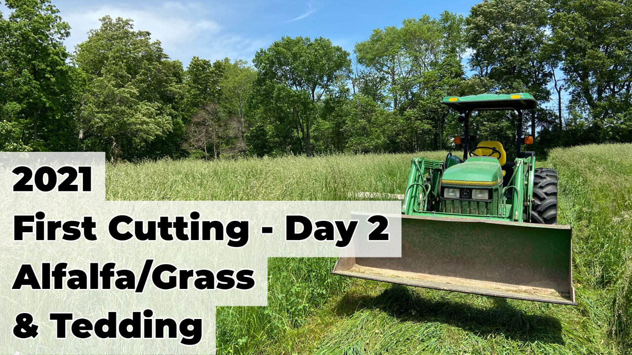 First Cutting & Tedding Part 2 - Alfalfa/Grass and Fescue