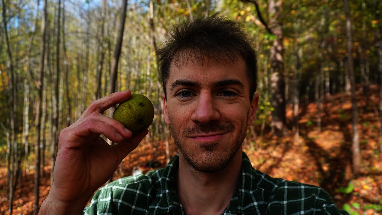 Black Walnuts and the True History of Basketball