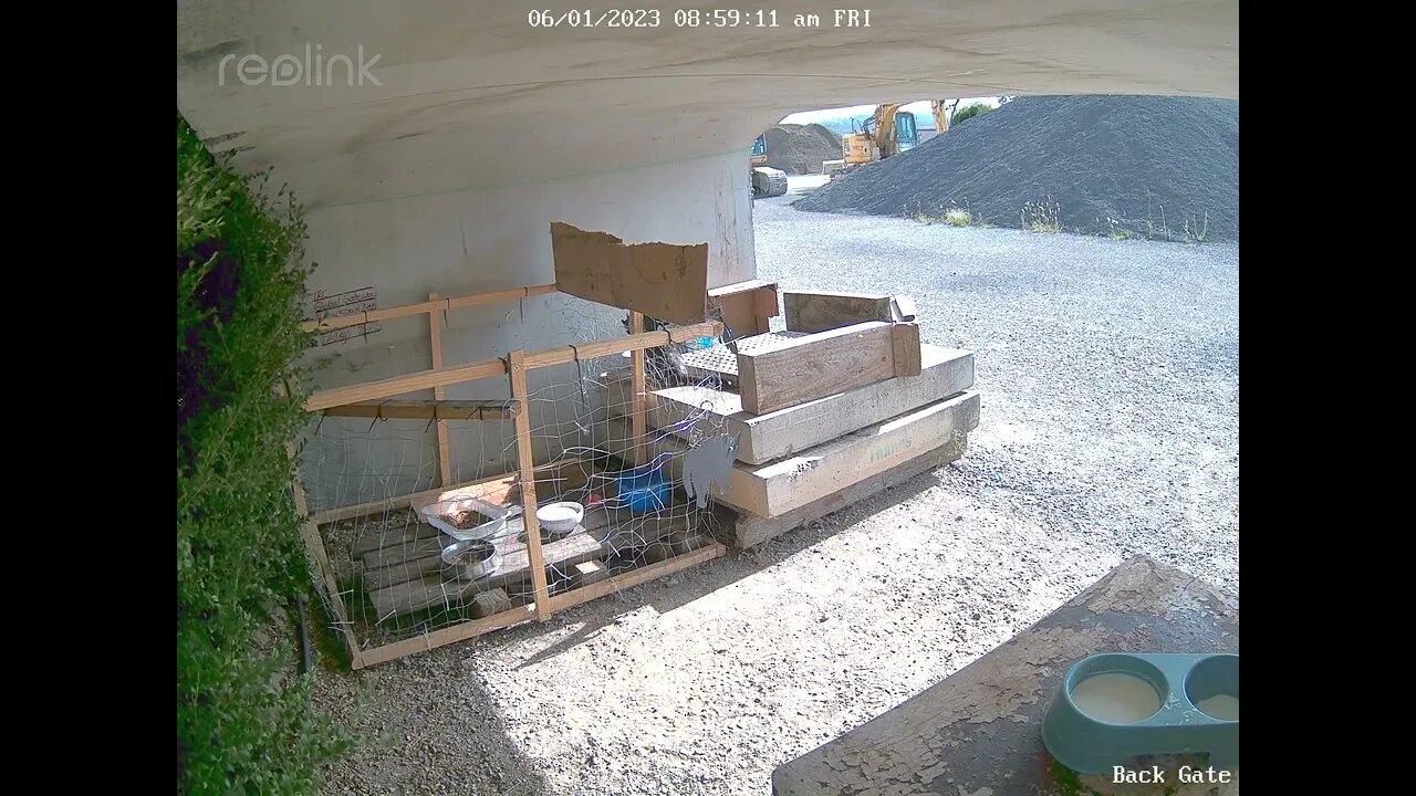 Porkchop stops in for a drink