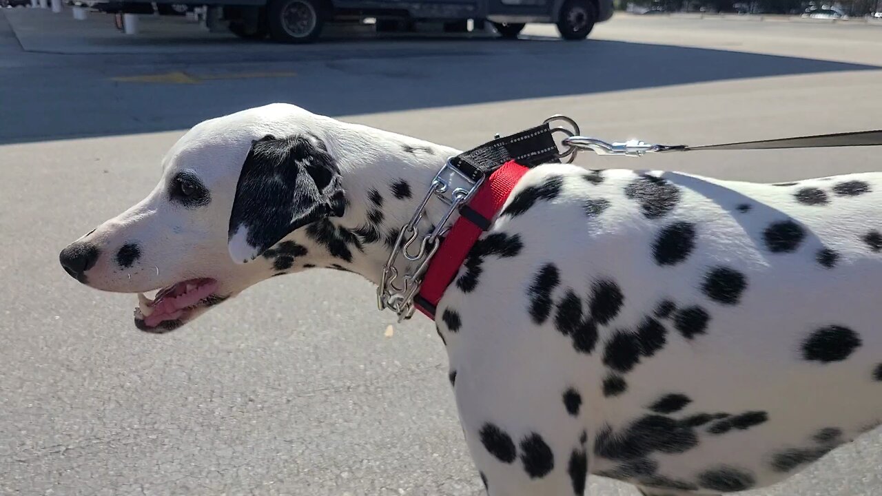 Luna At Stuart FL Tesla Charging Station