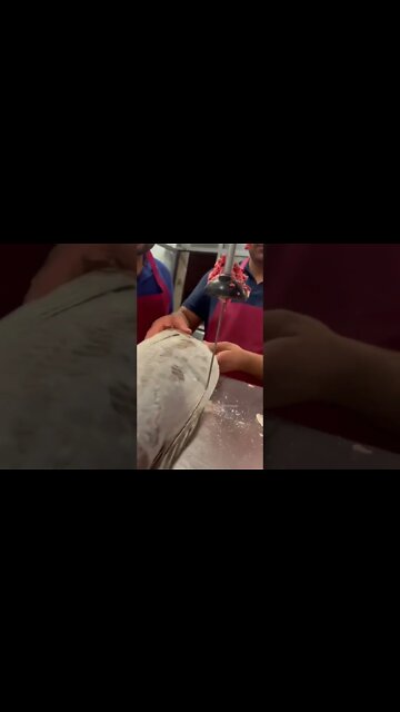 Fish cuting ☠️🚫 #shorts