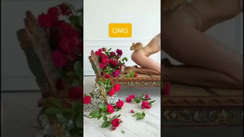 funny videos || funny OMG video ||funny rabbit video (1)