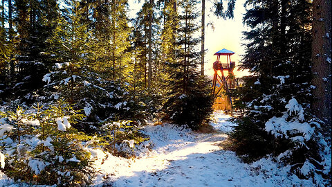 Snow Walk To The Lookout - Winter Walk In The Woods ASMR No Talking