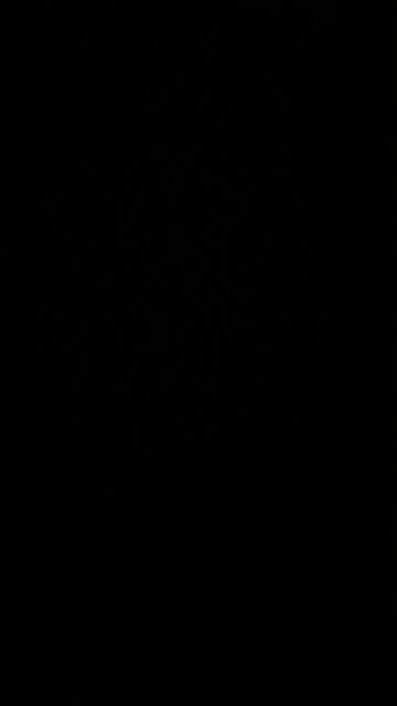 Eclipse over America