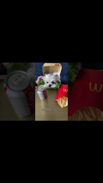 Para PapaPa, I’m Loving It