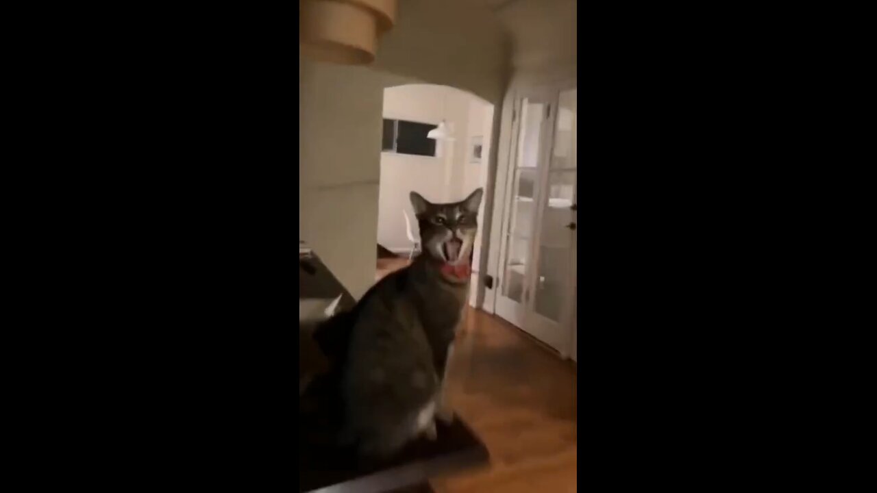 Going inside😂