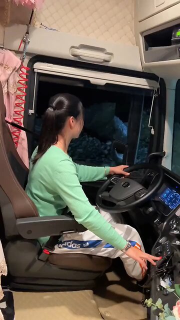 truck driver 🛻🏎️ service check ✔️✅