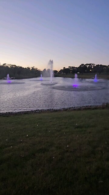 My Peaceful Place - Rereading a Book