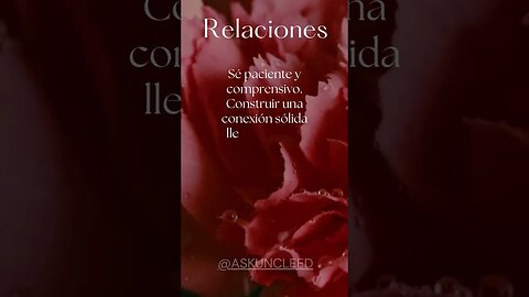 Consejos de Relaciones